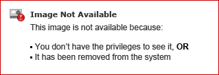 Click the Decline Page tab located under the Response Page heading. Customize the fields located on the right side of the screen to complete the transaction declined message.